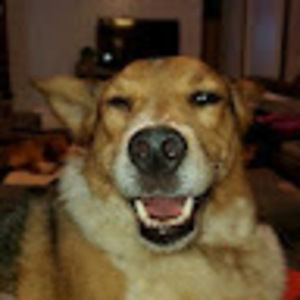 Meet your Posher, Marrissa